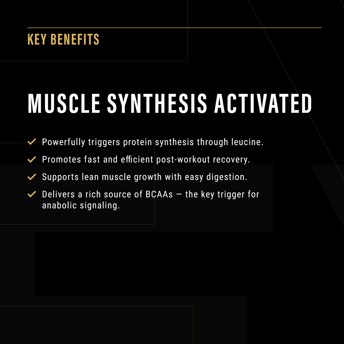 Eternal Anabolic Protein – High-Leucine Whey for Muscle Growth & Retention