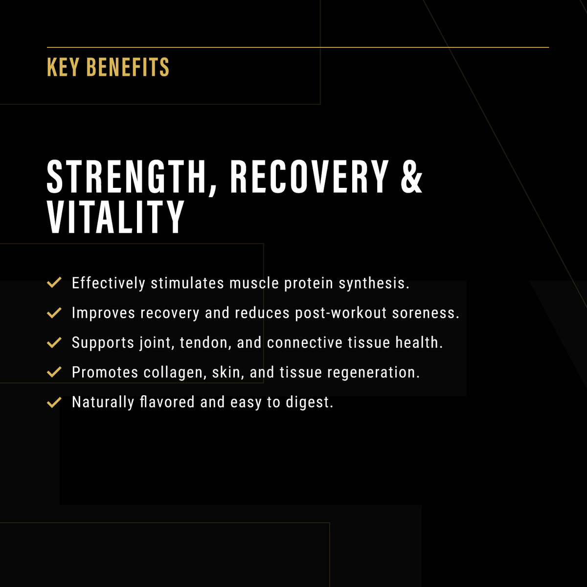 Eternal Protein – Whey, Collagen & Leucine Blend for Active Adults 35+